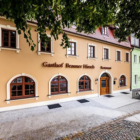 Brauner Hirsch Bernstadt Bernstadt auf dem Eigen