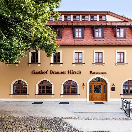 Отель Brauner Hirsch Bernstadt